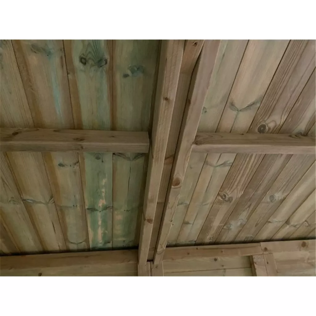 19 x 8 Windowless Premier Pressure Treated Apex Workshop product image
